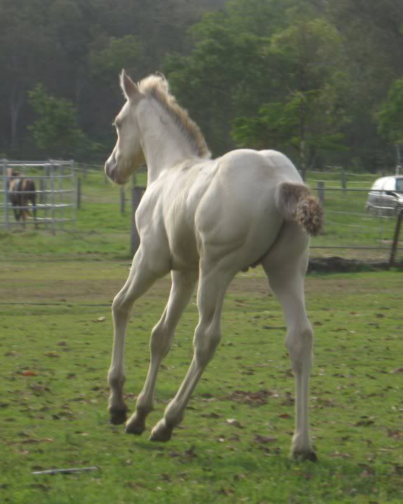 IMAGE(http://i135.photobucket.com/albums/q154/lea_owens/gilbert5.jpg)