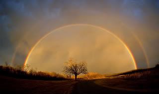 double rainbow Pictures, Images and Photos