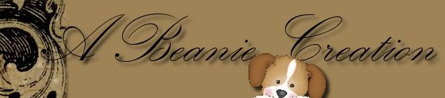 Beanie's Tag Your It