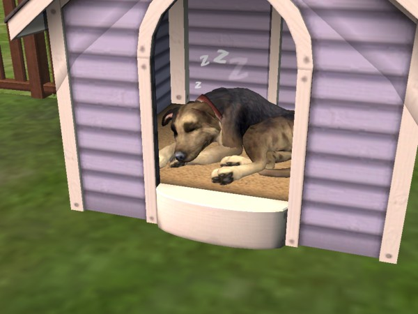 The good night pc