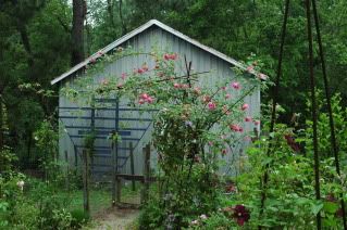 Robert's Barn and Mme. Gregoire Staechlin