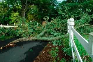 Storm Damage