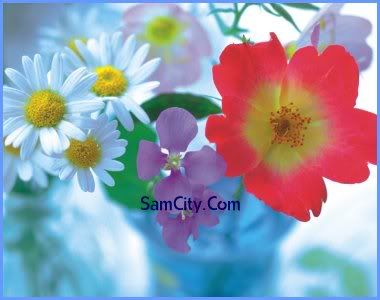 MySpace Flower Picture Graphics/Friendster