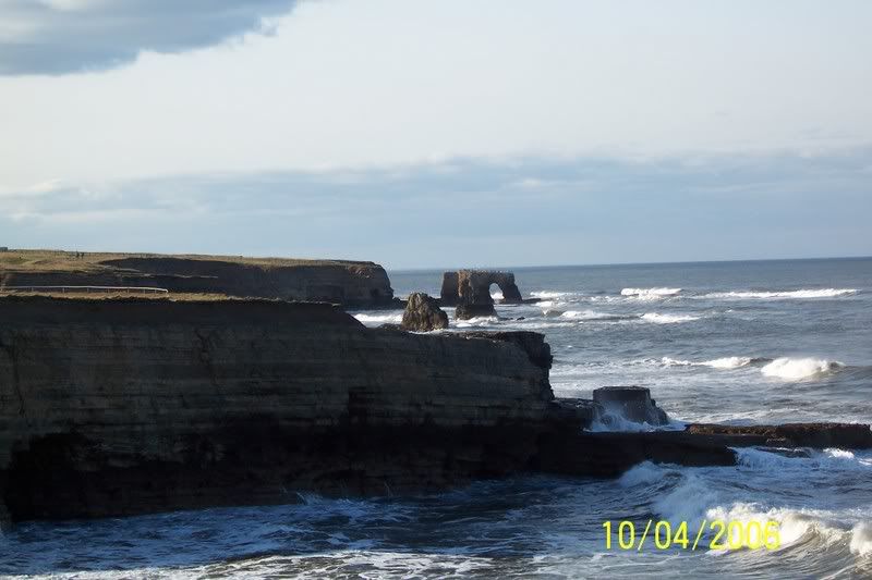 picturesfromdigicamera097.jpg