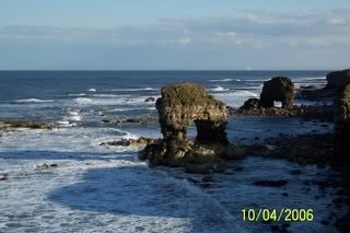 picturesfromdigicamera098-1.jpg