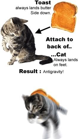 Pictures  that make you LOL (IMG INTENSIVE)