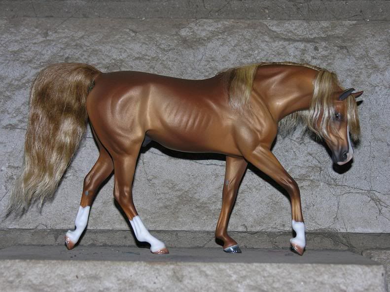 I got a new model!!! IMAGE