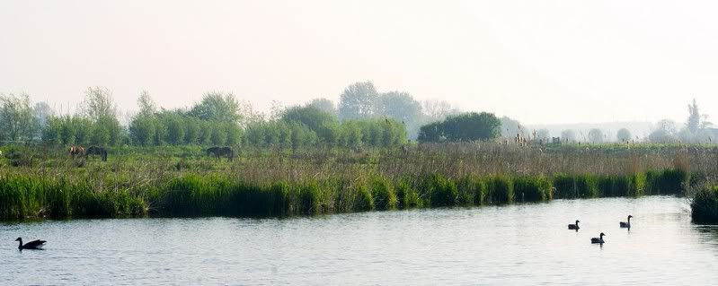 Fotografie