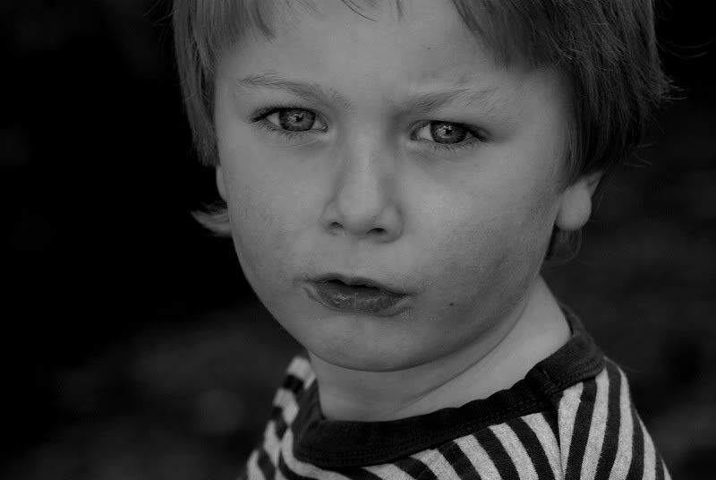 Fotografie
