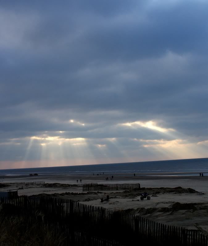 Fotografie