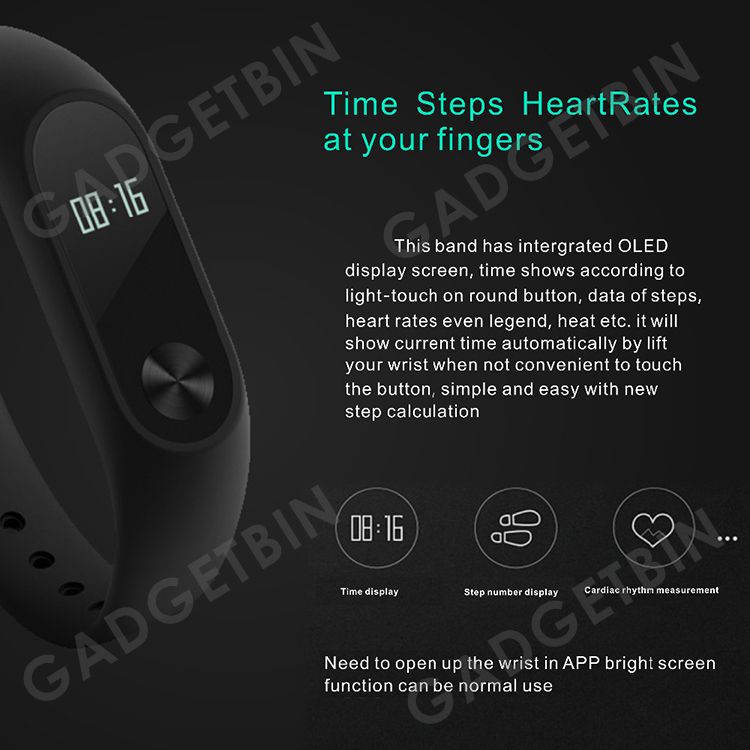  photo m2plus-1_zpsiqeyx31v.jpg