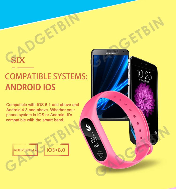  photo m2large-10_zpsuijzs71h.jpg