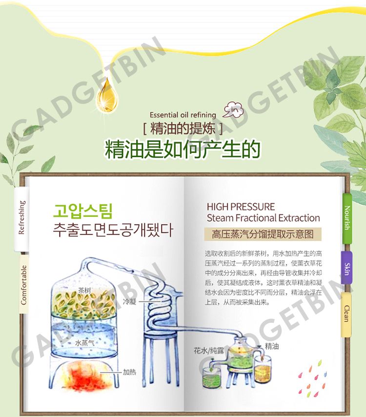  photo teatree-5_zpsteeqlscq.jpg