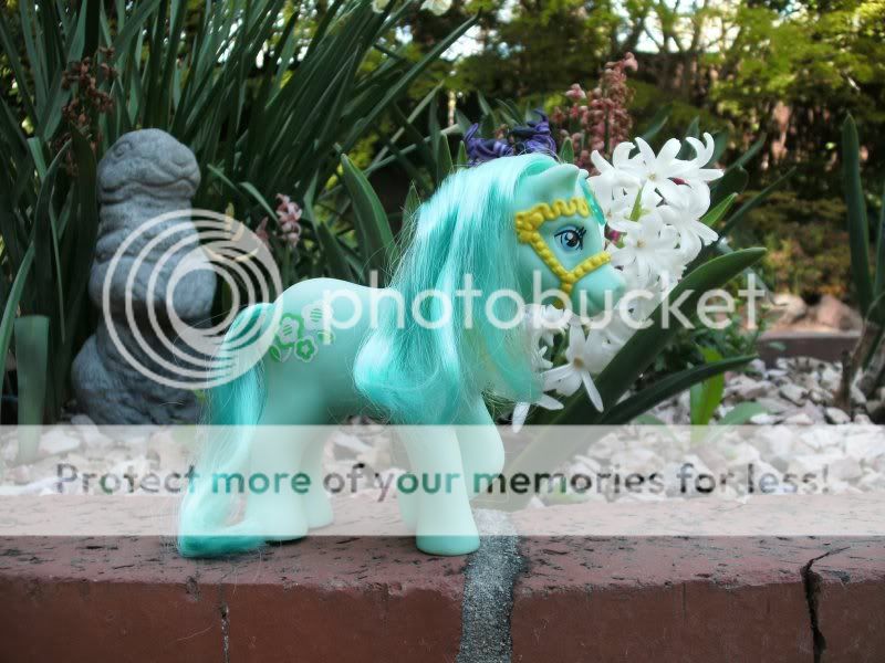 Yay for new fakies! D my_little_fakie — LiveJournal