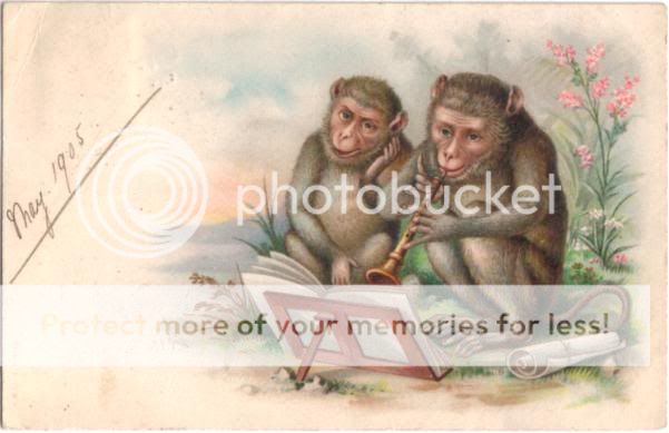 1905 Misch&Stock Monkey Playing Clarinet/Flute Postcard  