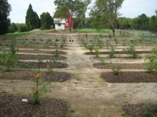 Rose Field 9/17/09