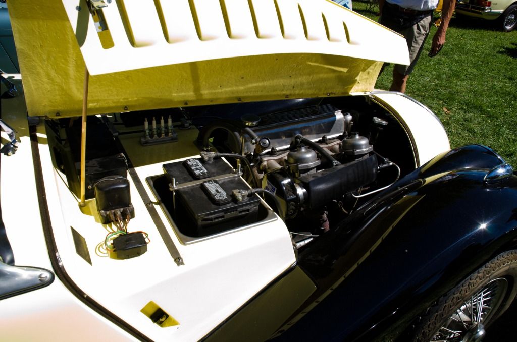 Delaware_British_Car_Club_-103.jpg